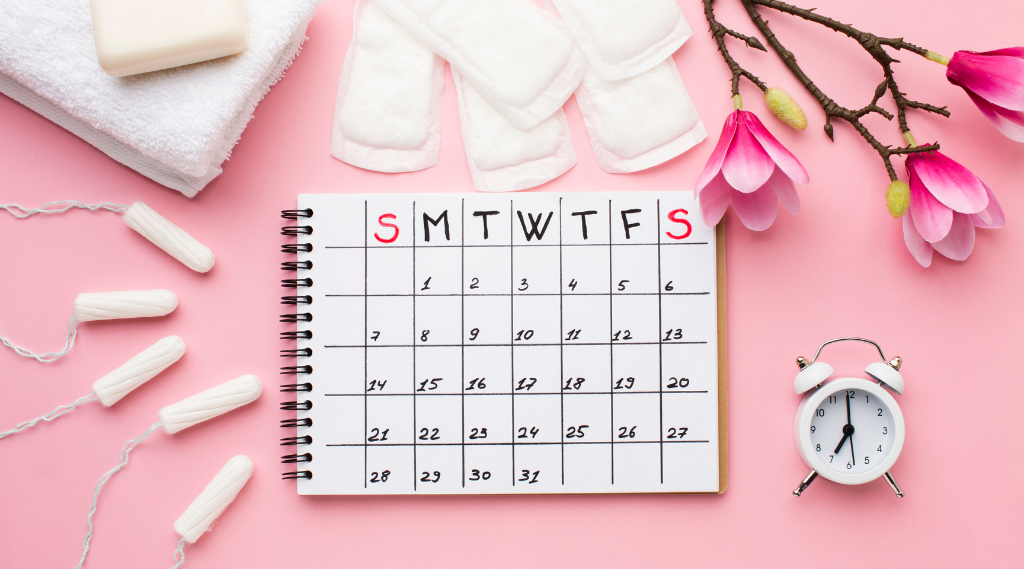 Phases of your menstrual cycle and what they mean