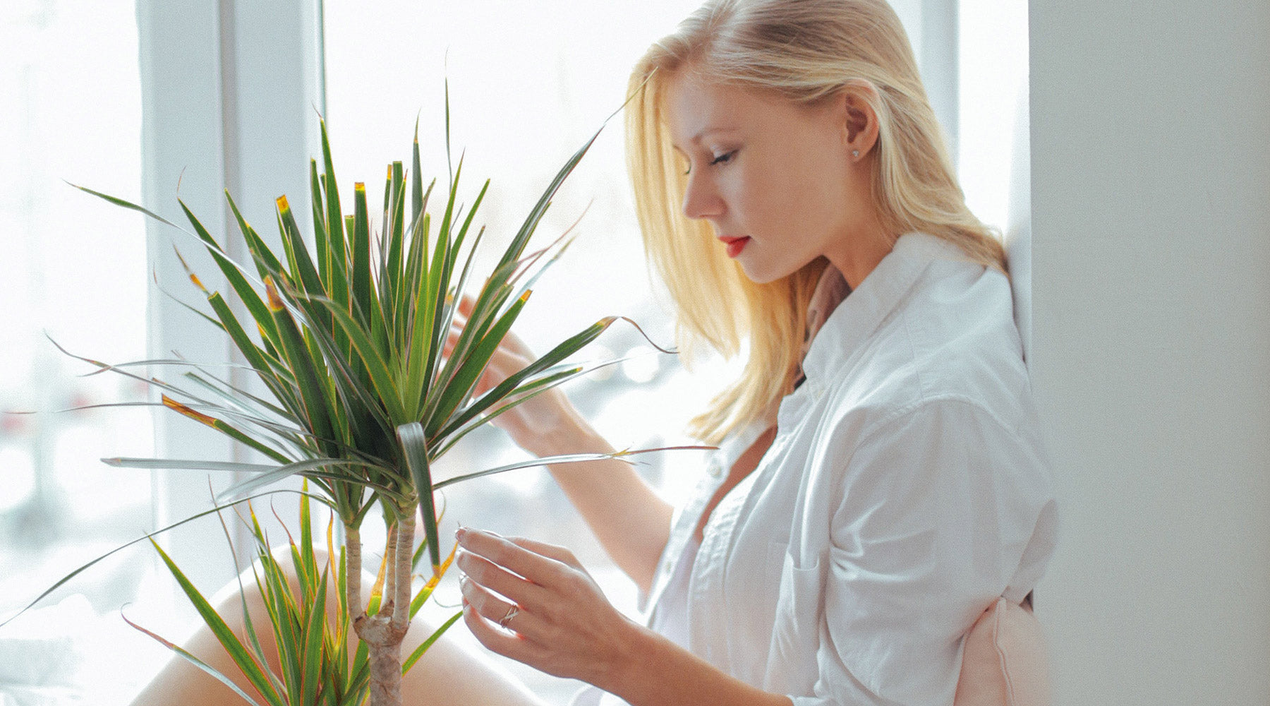 Woman with plant by the window