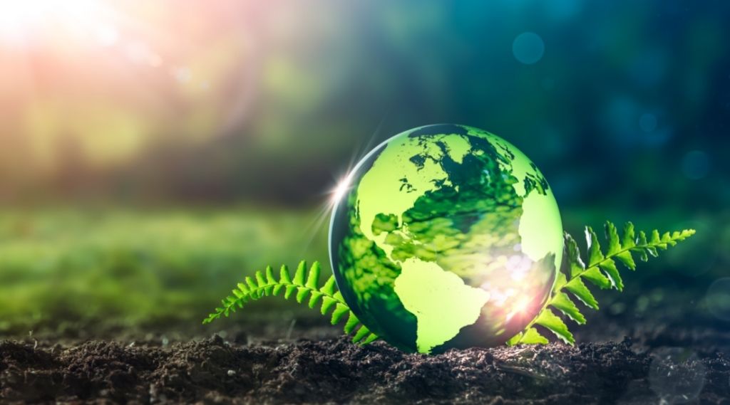 Live Green With 7 Healthy Habits